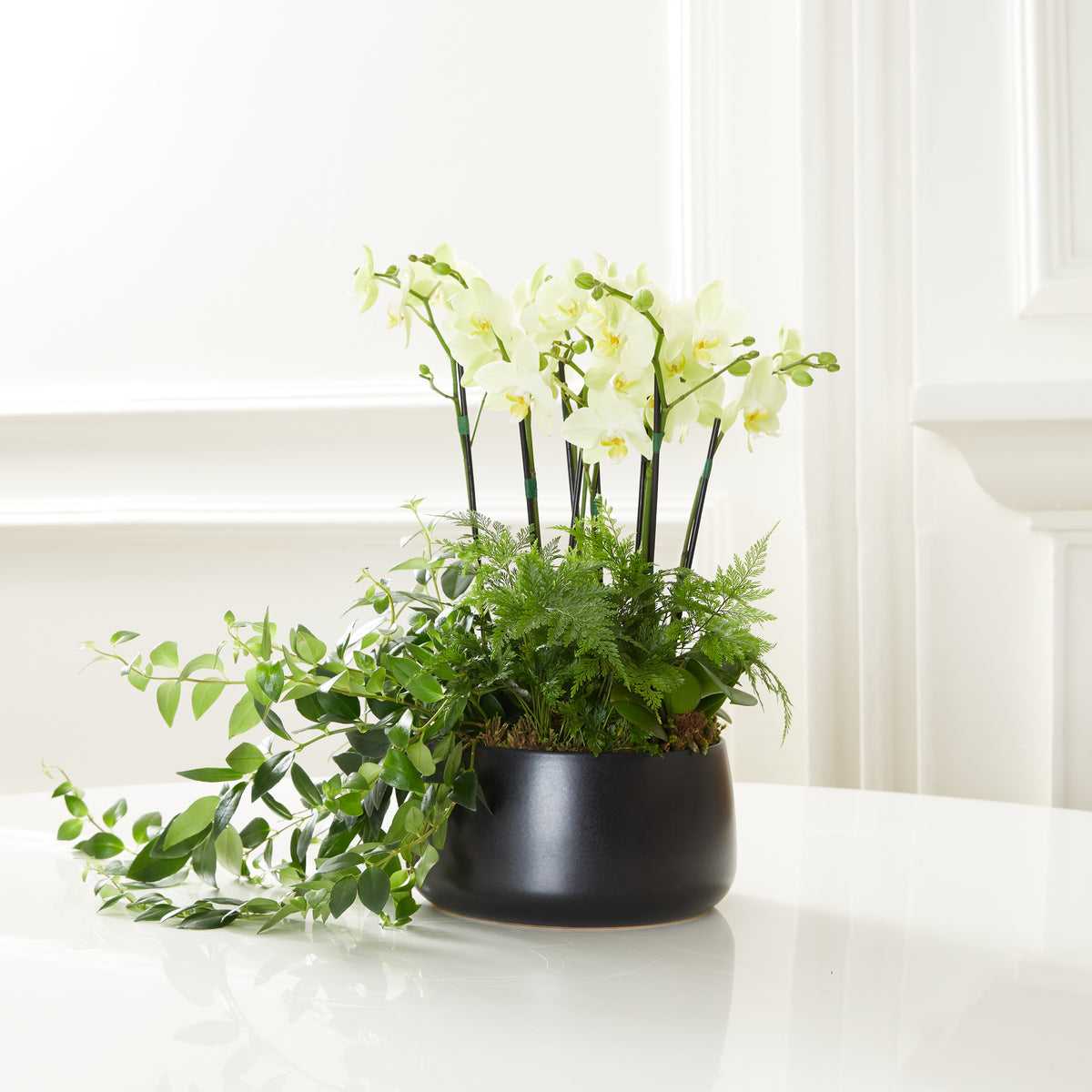 MODERN VASE WITH ORCHIDS – Verbena Flores