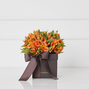 caixa-verbena-flores-laranjas
