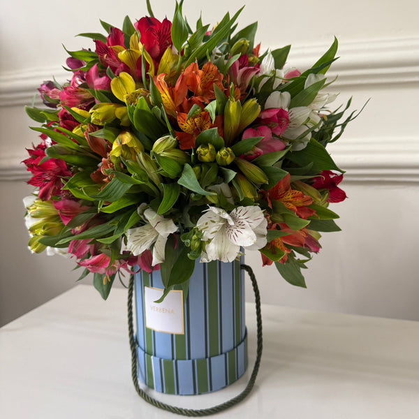 RIVIERA BOX COM 50 ALSTROEMERIAS COLORIDAS