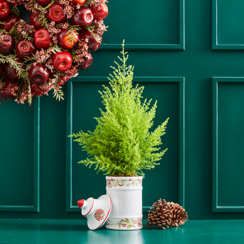 PINECONE BOWL WITH CHRISTMAS PINE TREE