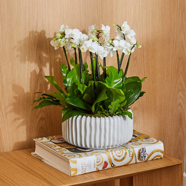 DUNE OFF WHITE VASE