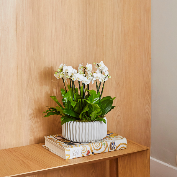 DUNE OFF WHITE VASE