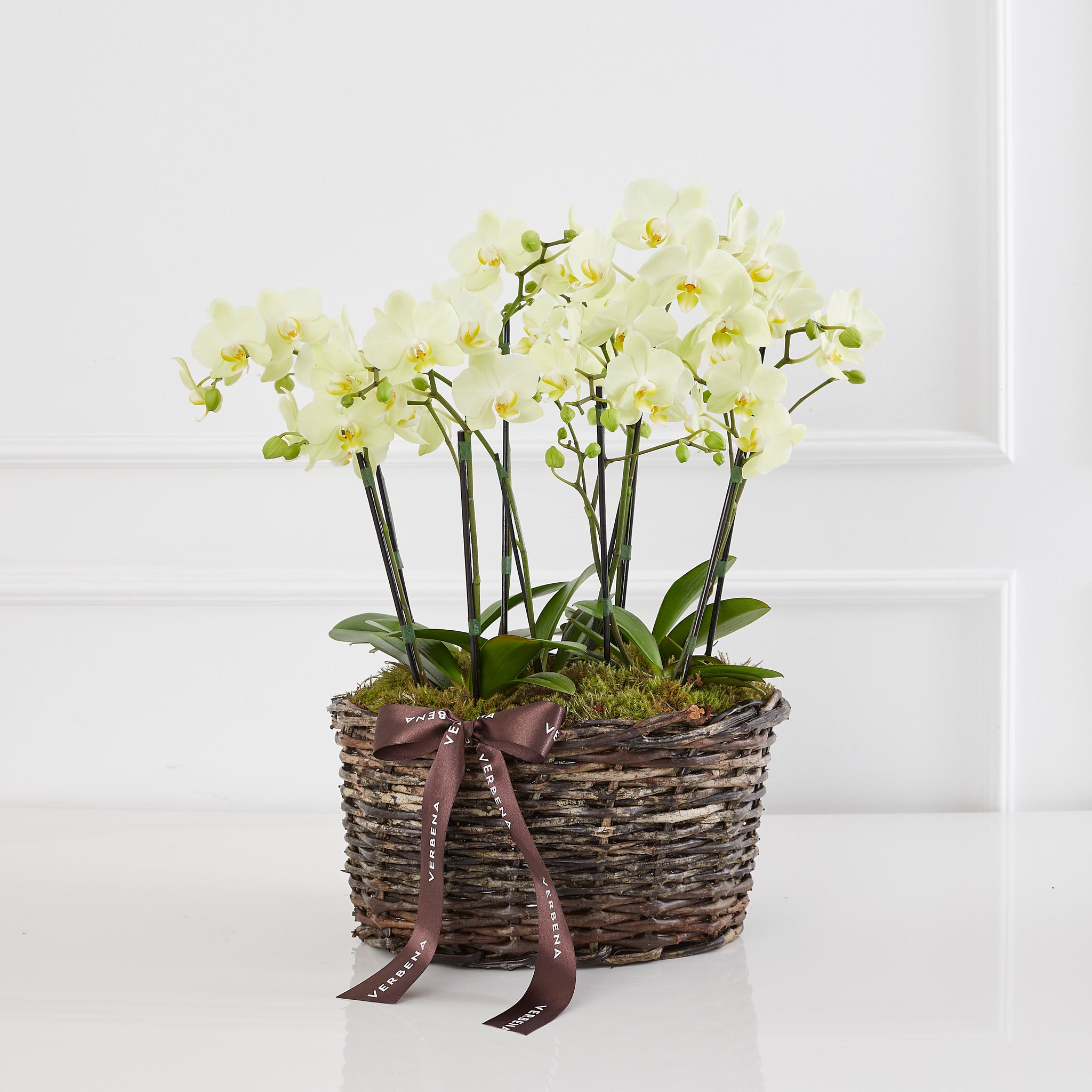 BASKET WITH ORCHIDS