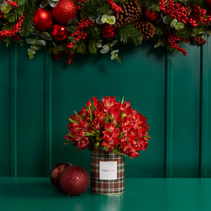 LATA TARTAN CHRISTMAS COM ALSTROEMERIAS (MAIS CORES DISPONÍVEIS)