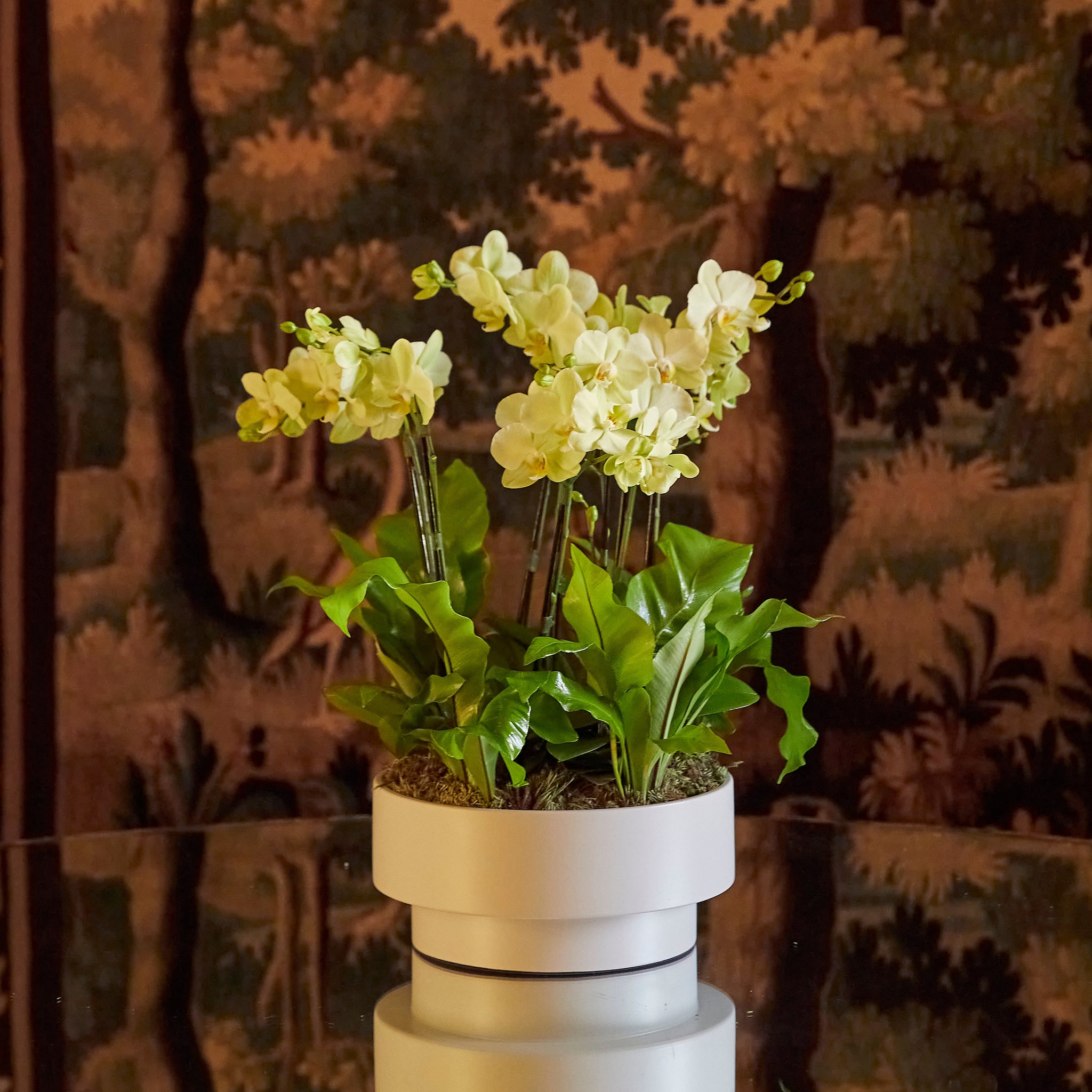 *完成*flower✿様オーダー VASO MODERNO COM ORQUIDEAS – Verbena Flores
