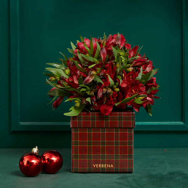 CAIXA TARTAN COM ALSTROEMÉRIAS VERMELHAS