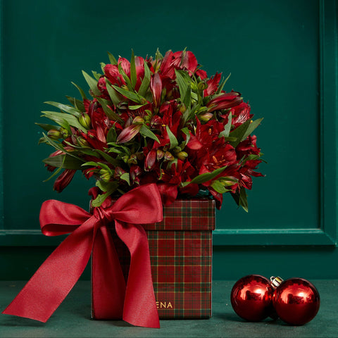 CAIXA TARTAN COM ALSTROEMÉRIAS VERMELHAS
