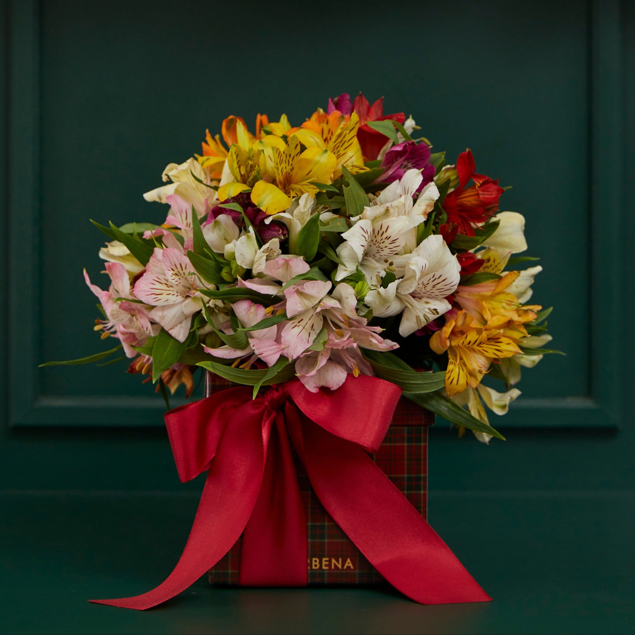 CAIXA TARTAN COM ALSTROEMÉRIAS COLORIDAS