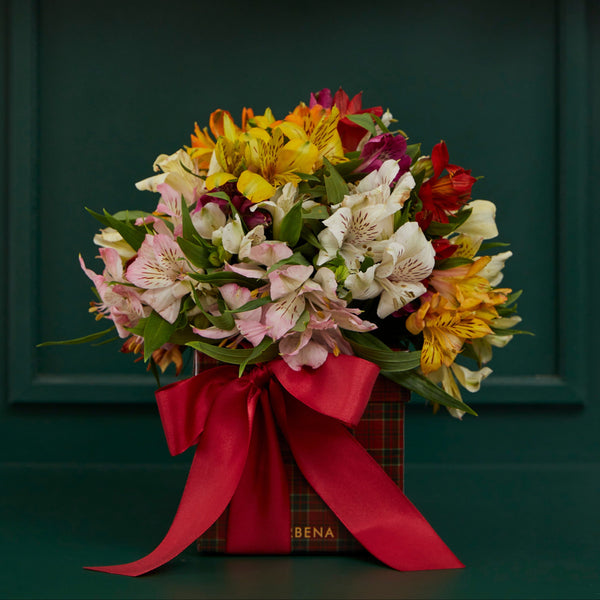 CAIXA TARTAN COM ALSTROEMÉRIAS COLORIDAS