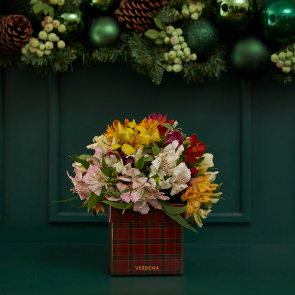 CAIXA TARTAN COM ALSTROEMÉRIAS COLORIDAS