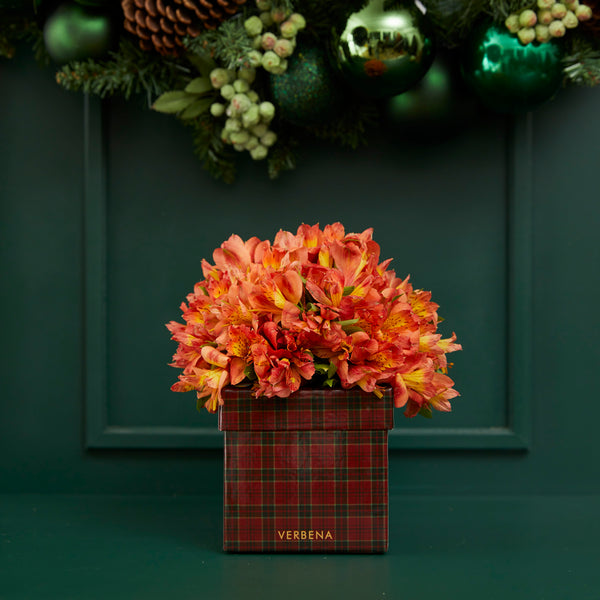 CAIXA TARTAN COM ALSTROEMÉRIAS ALARANJADAS