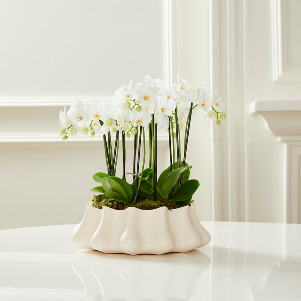 VASO NIKOLAI COM ORQUÍDEAS