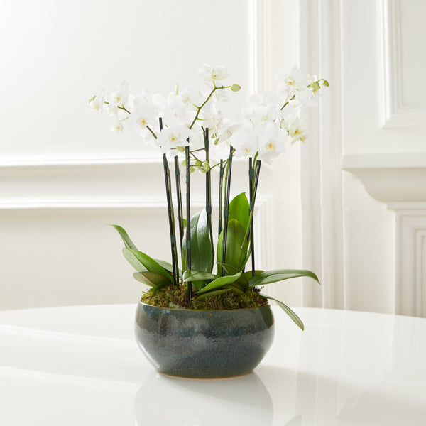 VASO ARDÓSIA COM ORQUÍDEAS