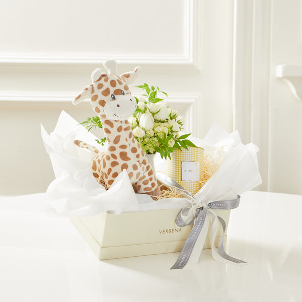 BABY GIRAFFE BOX