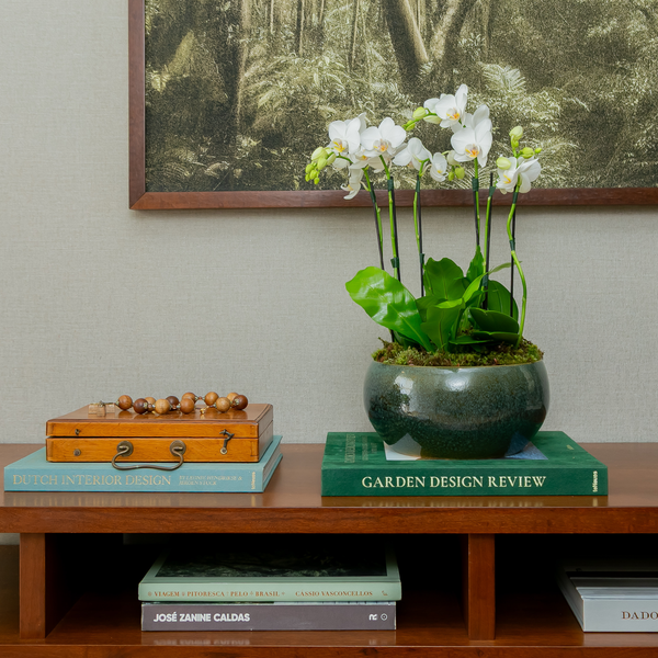 VASO ARDÓSIA COM ORQUÍDEAS
