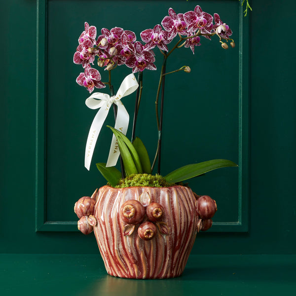 CHRISTMAS OHANA WITH YELLOW ORCHIDS