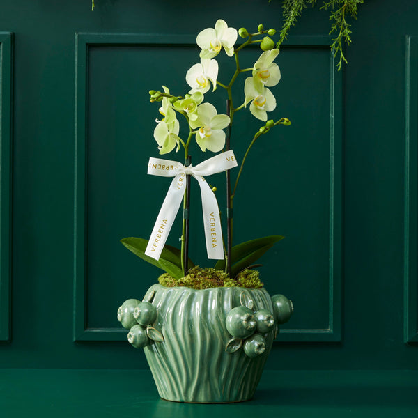 TRIO DE VASOS ROMÃ VERDE COM ORQUIDEAS
