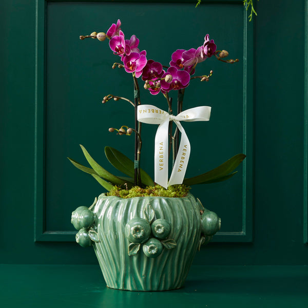 TRIO DE VASOS ROMÃ VERDE COM ORQUIDEAS