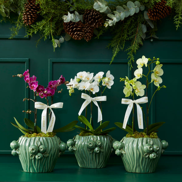 TRIO DE VASOS ROMÃ VERDE COM ORQUIDEAS