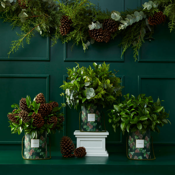 TRIO PINE BOXES