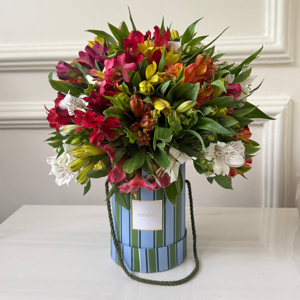 RIVIERA BOX COM 50 ALSTROEMERIAS COLORIDAS
