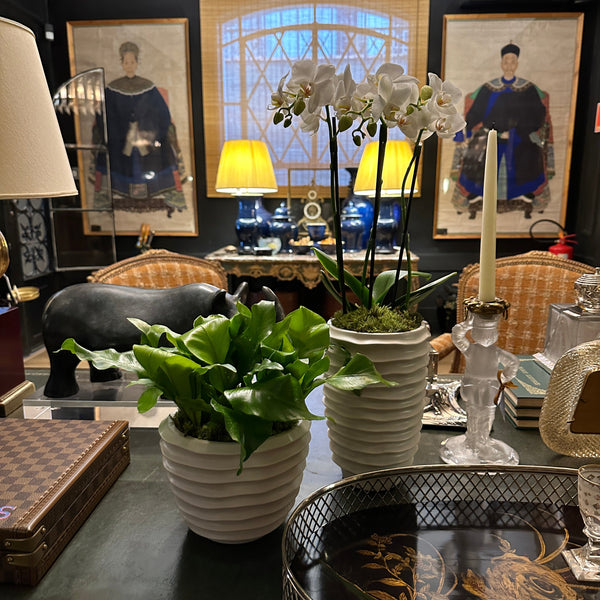 MATILDE VASE WITH WHITE ROSES