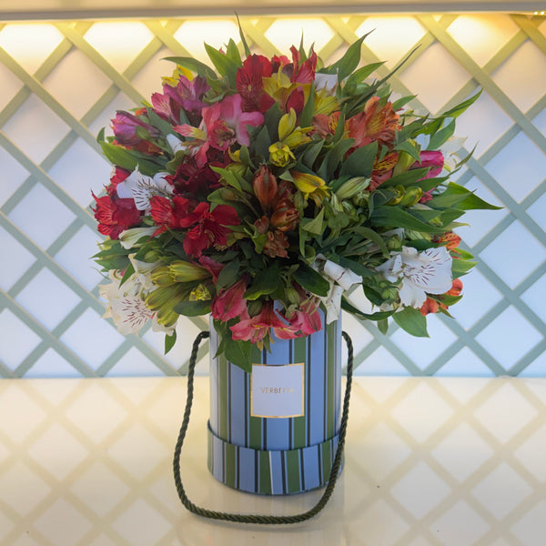 RIVIERA BOX COM 50 ALSTROEMERIAS COLORIDAS