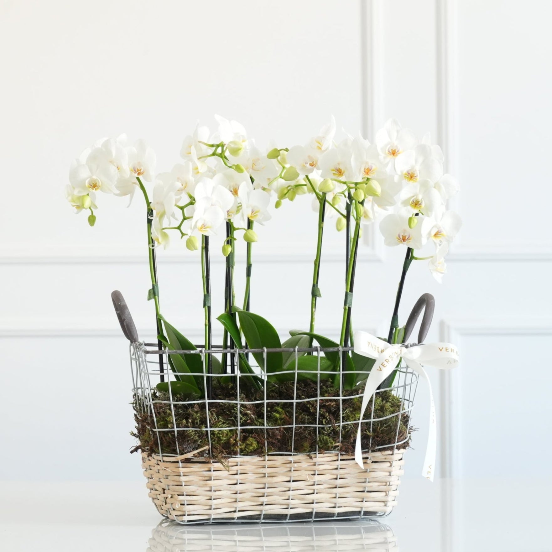 CESTA EM METAL COM ORQUIDEAS BRANCAS