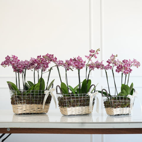 BASKET OF FLOWERS &amp; UNICORNS