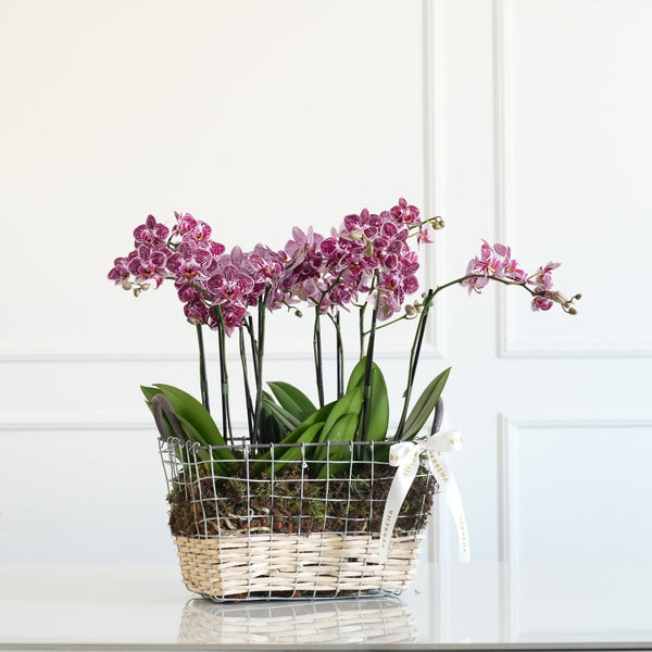 CESTA EM METAL COM ORQUIDEAS PINK