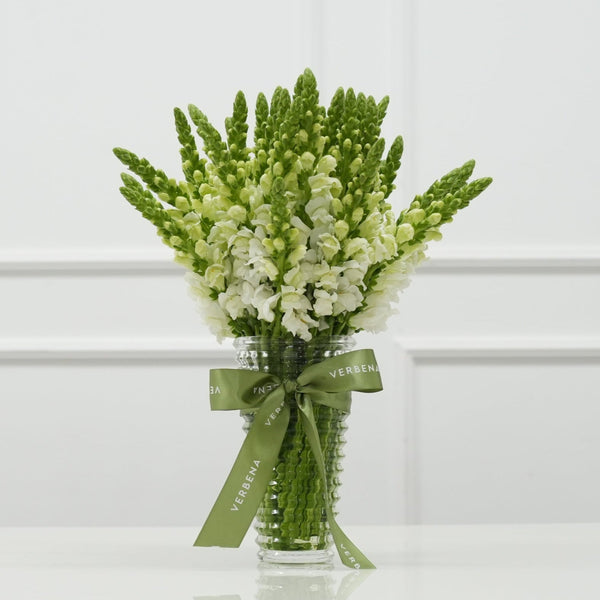 VASO VIVACE MODERNO COM BOCA DE LEÃO BRANCA