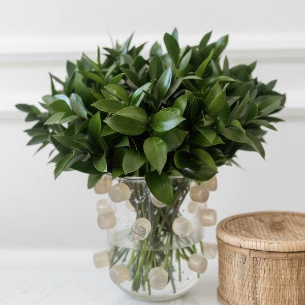 MURANO POMPIDEAU COM RUSCUS