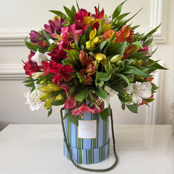 RIVIERA BOX COM 50 ALSTROEMERIAS COLORIDAS