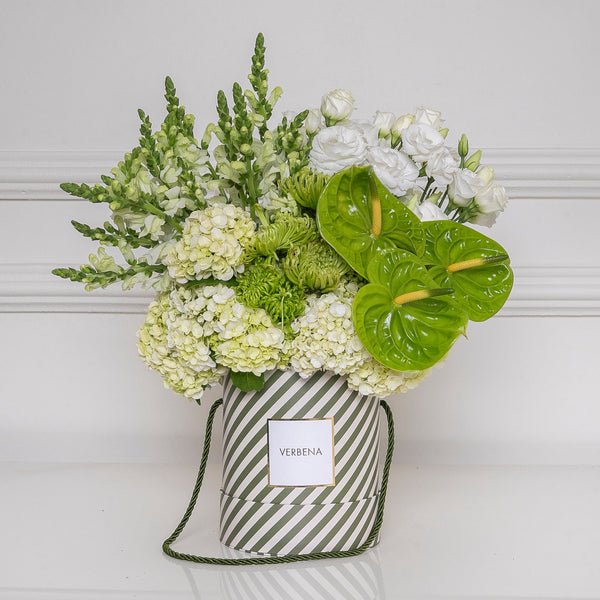 caixa redonda verbena flores com flores modernas em tons de branco e verde