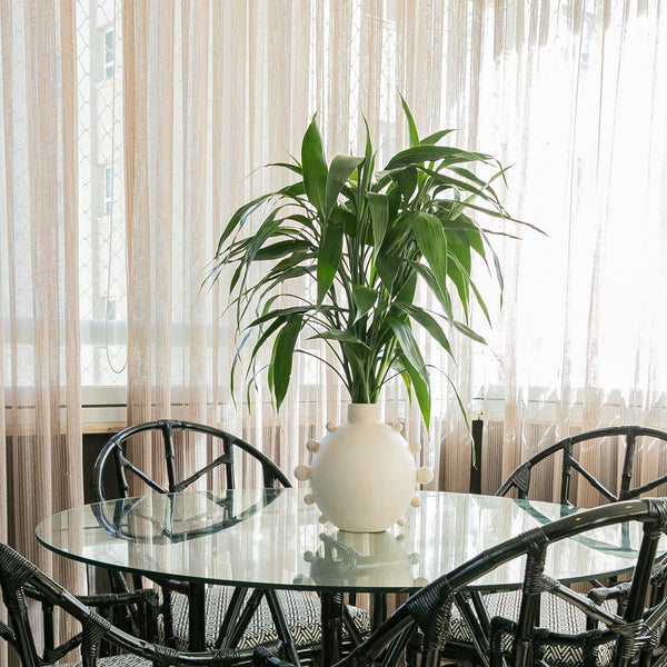 VASO ASTROS COM FOLHAGEM DRACENA SANDERIANA