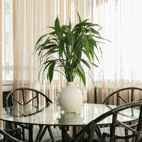VASO ASTROS COM FOLHAGEM DRACENA SANDERIANA