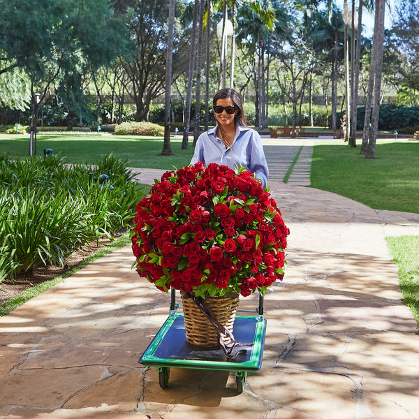 CESTA VERGARA 400 ROSAS