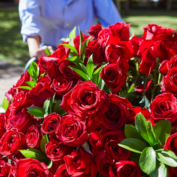 CESTA VERGARA 400 ROSAS