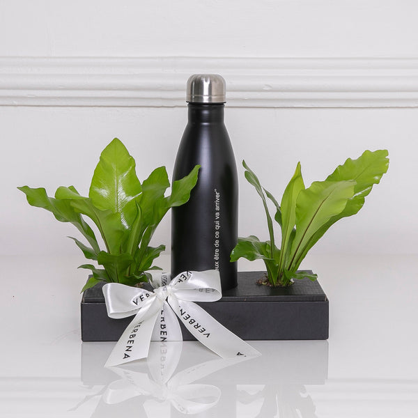 BOX NOVOS COMEÇOS COM PLANTAS DE ESPERANÇA