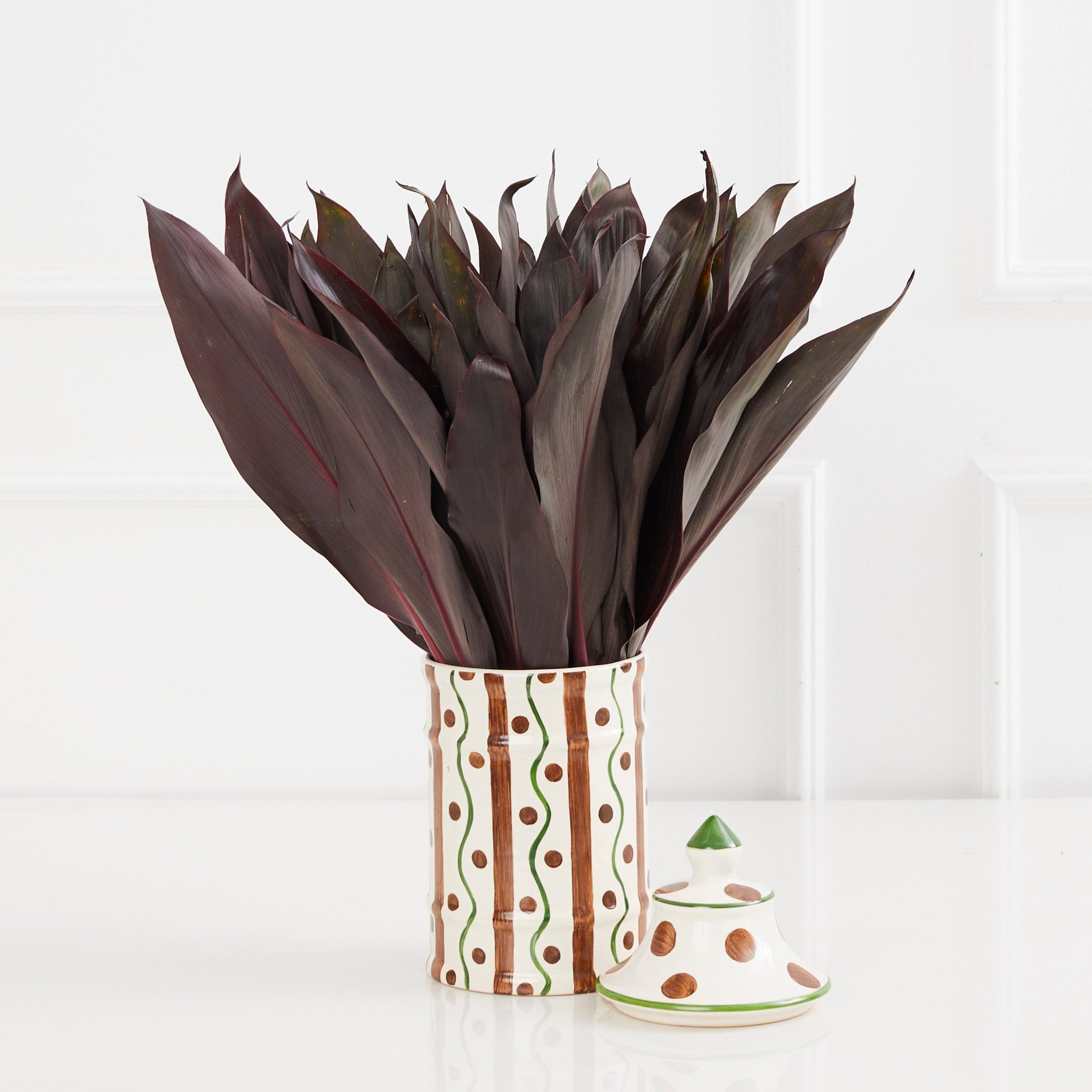 BOWL BROWN STRIPES COM DRACENA VINHO