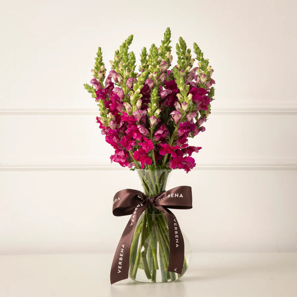 ASSINATURA MORINGA - 4 ENTREGAS POR MÊS