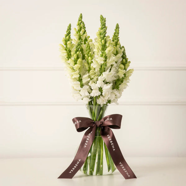 ASSINATURA MORINGA - 4 ENTREGAS POR MÊS