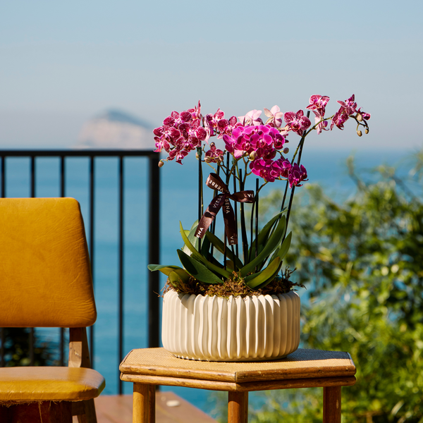 DUNE OFF WHITE VASE