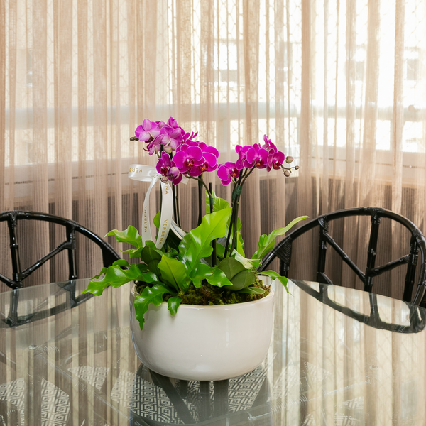 VASO OHANA OFF COM ORQUIDEAS PINK