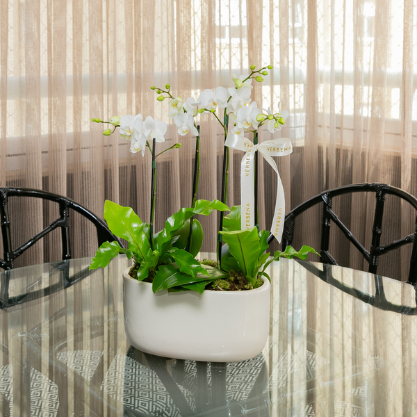 VASO ORACIO COM ORQUIDEAS BRANCAS
