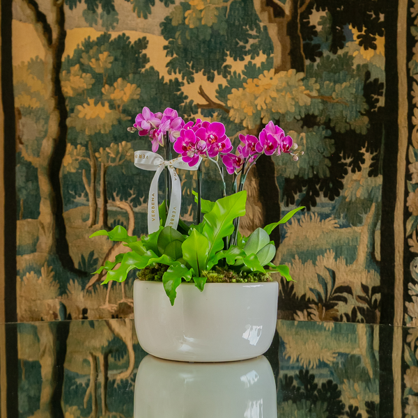 VASO OHANA OFF COM ORQUIDEAS PINK