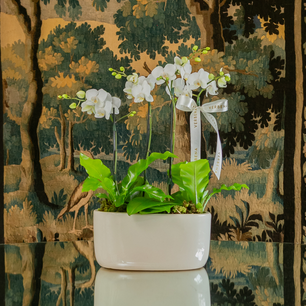 VASO ORACIO COM ORQUIDEAS BRANCAS