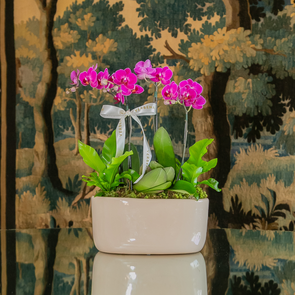 VASO ORACIO COM ORQUIDEAS PINK