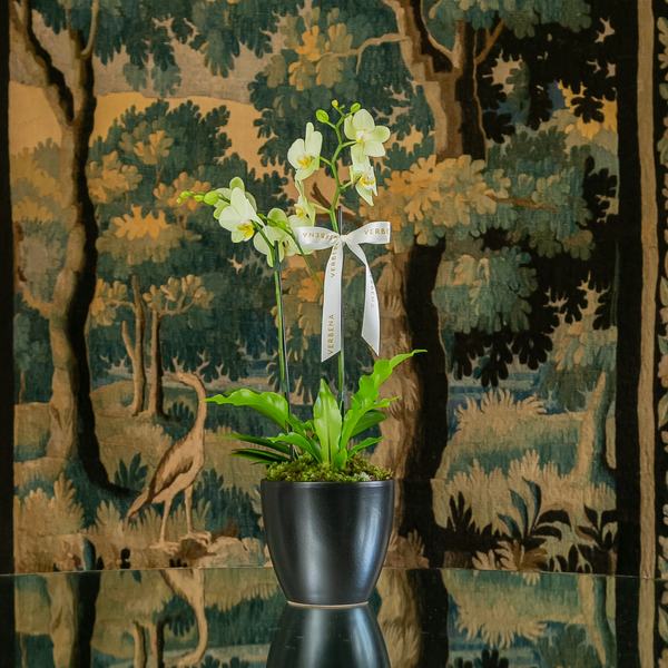 TRIO DE VASOS NERO COM ORQUIDEAS