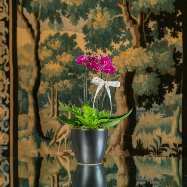 TRIO DE VASOS NERO COM ORQUIDEAS